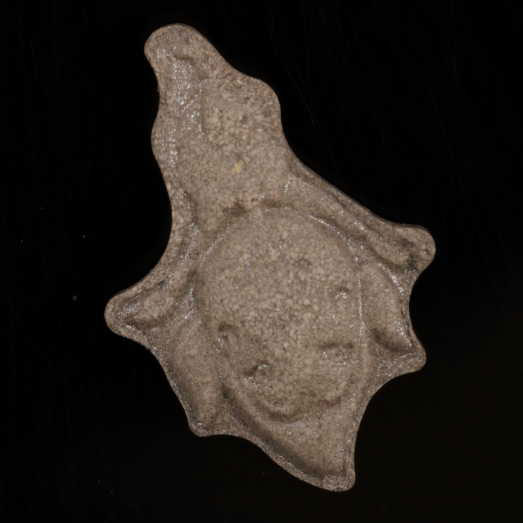 Tingle Zelda, 2C-B und eine unbekannte Substanz, 19.03.2024 (Berlin)