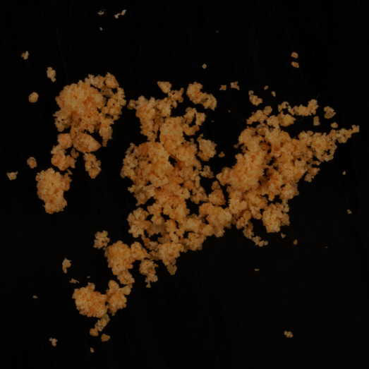 DMT, verunreinigt mit NMT, 09.07.2024 (Berlin)