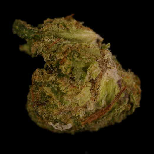 Cannabis, verunreinigt mit dem synthetischen Cannabinoid MDMB-4en-PINACA, delta-8-THC und delta-4(8)-iso-THC, 23.10.2023 (Berlin)