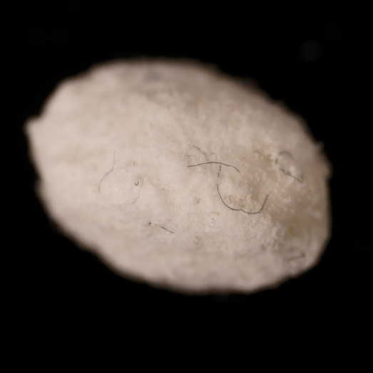 Kokain und Norkokain, verunreinigt mit Ketamin, Koffein, Amphetamin und 3-CMC, 06.11.2023 (Berlin)