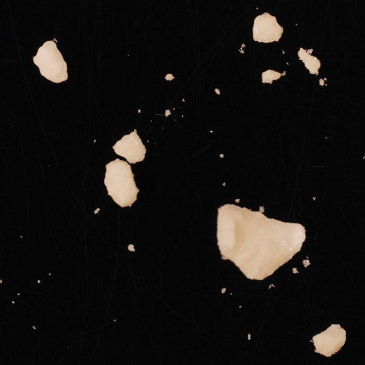 Kokain, verunreinigt mit Procain und Tetramisol, 20.11.2023 (Berlin)