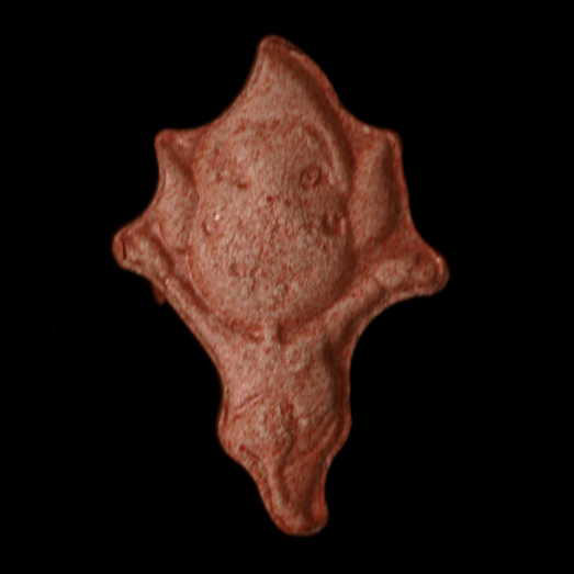 Tingle Zelda / 20 mg, 2C-B, verunreinigt mit 2C-B AB, 22.07.2024 (Berlin)