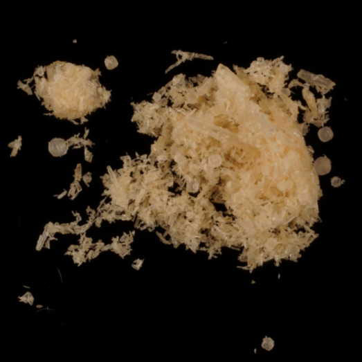 Mephedron (4-MMC), verunreinigt mit einer unbekannten Substanz, 03.03.2025 (Berlin)