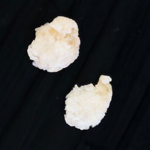 4-MMC (Mephedron), verunreinigt mit iso-4-MMC und unbekannten Substanzen, 14.10.2025 (Berlin)