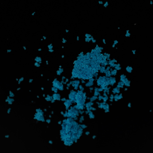 MDMA, verunreinigt mit einer unbekannten Substanz, 19.08.2025 (Berlin)