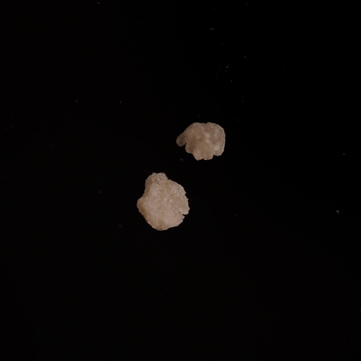 MDMA, erworben als Mephedron (4-MMC),  10.02.2026 (Berlin)