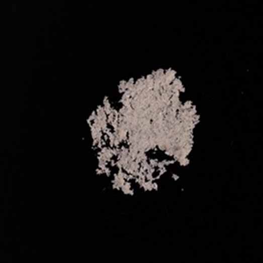 2-MMC, erworben als 4-MMC (Mephedron), 17.03.2026 (Berlin)